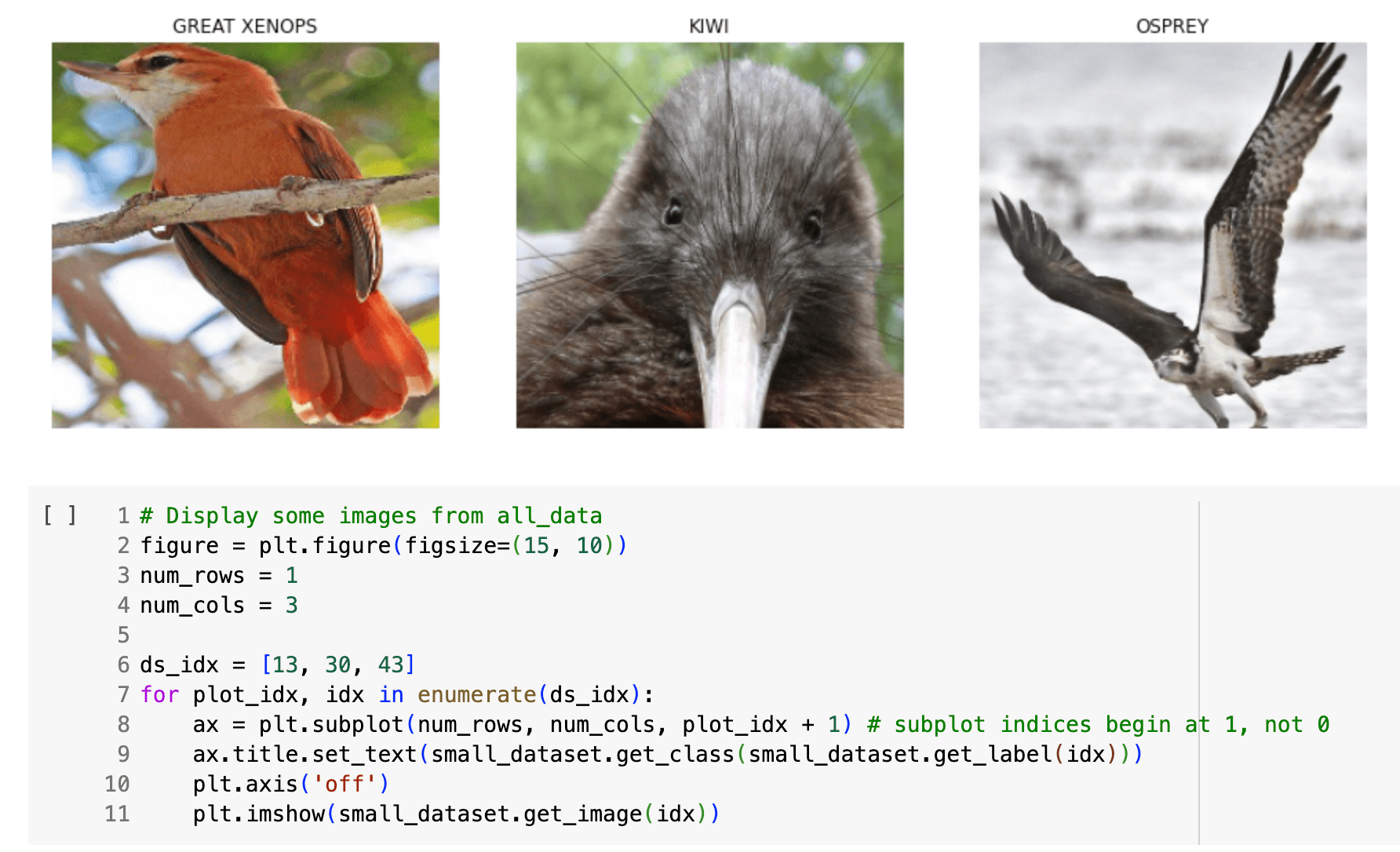 Bird Classifier CNN